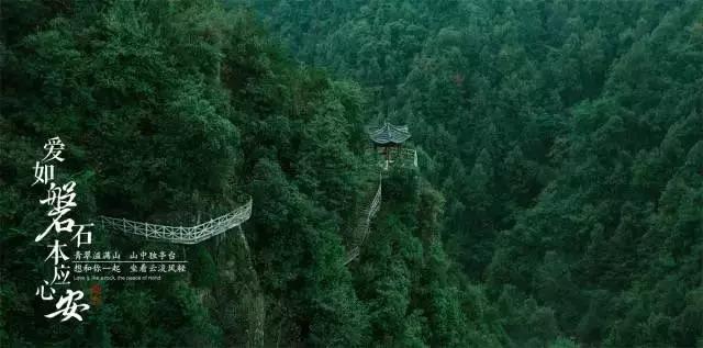 血糖高不能喝纯牛奶吗游戏画面